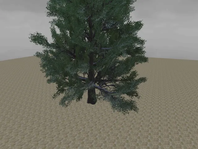tree111