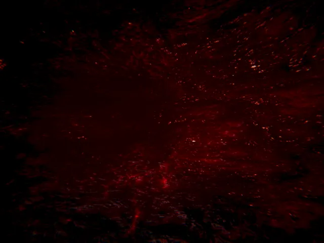 flesh room