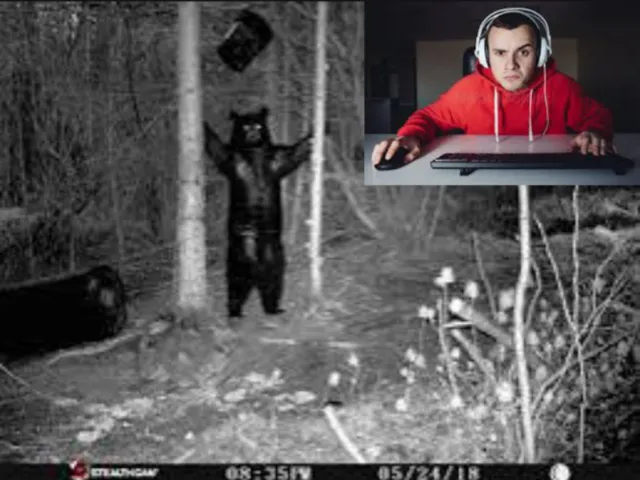 chat this map has nothing trust