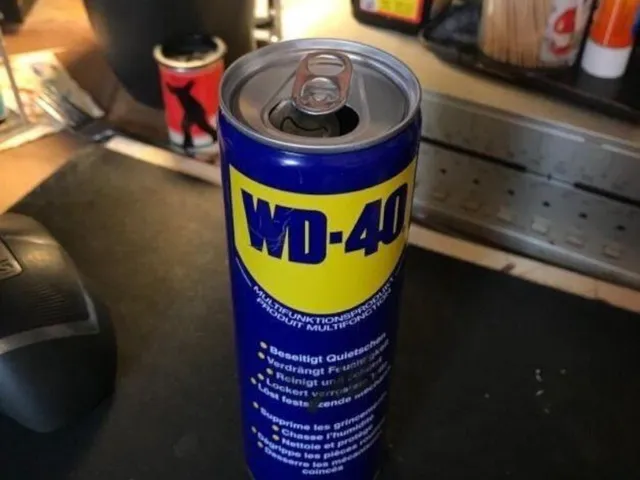 home by lil gremlin bio