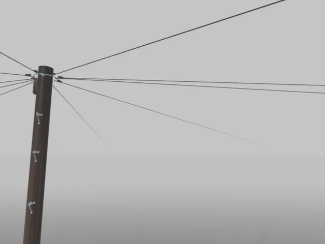 pole gallery