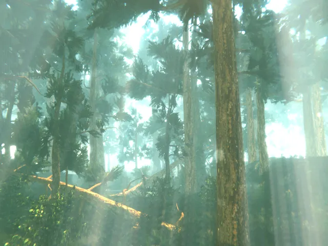 Dark Forest