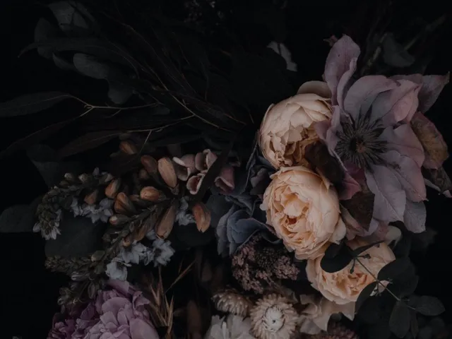 むちこのほむわ