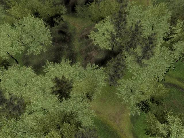 Test Forest