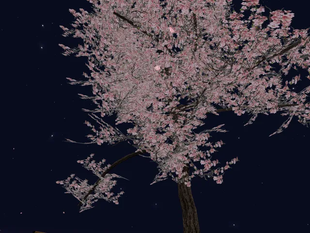 Yoru No Sakura