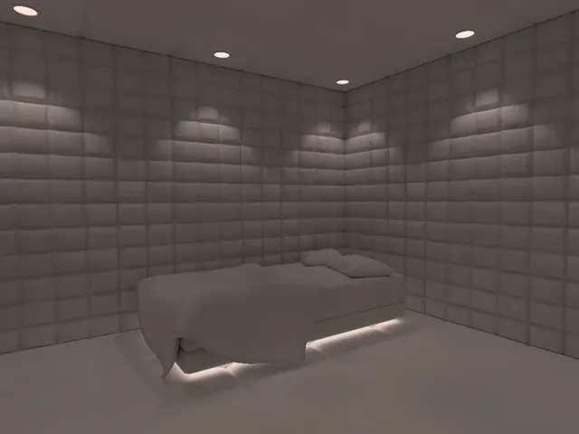 Padded Room