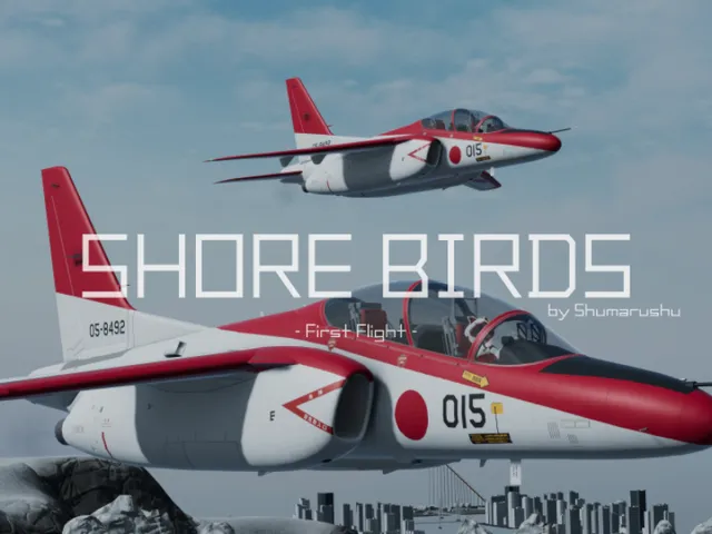 SHORE BIRDS -First Flight-