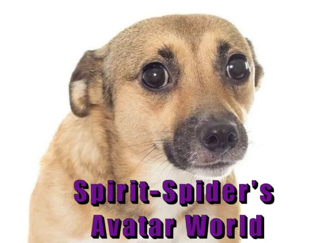 Spirit-Spiders Avatar World