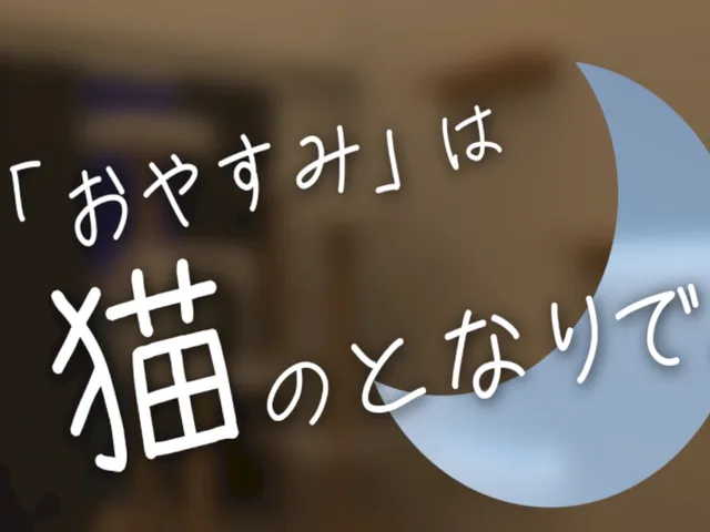 「おやすみ」は猫のとなりで。