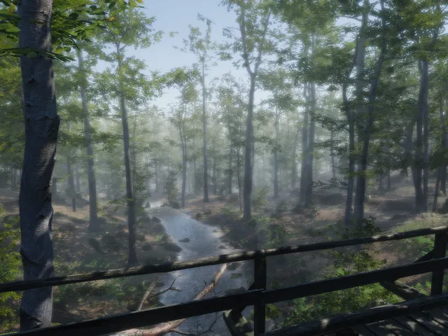 Forest Environment