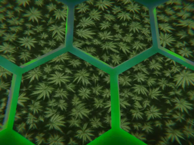 Green Chill Vibes