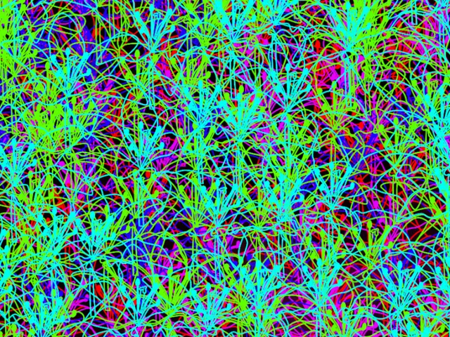 im sad but here its very smal and a wip