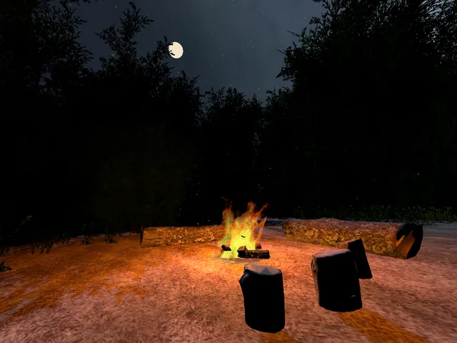 Moonlit Campfire