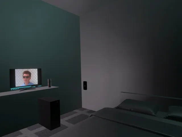 YouTube見る （FLASH WARNING）