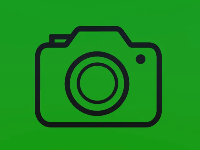 BlackCat's Green-Screen World