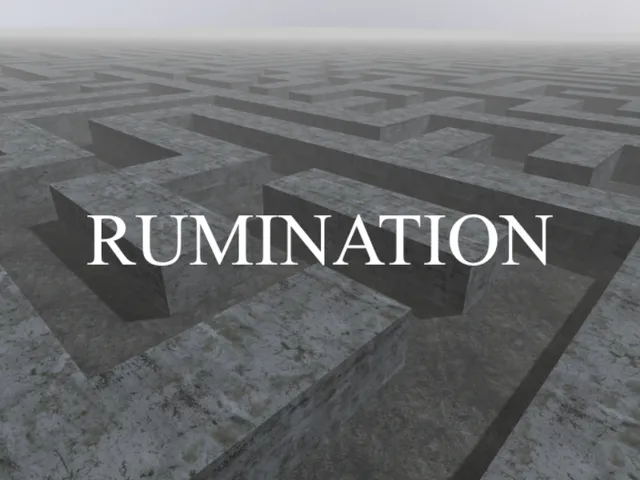 RUMINATION