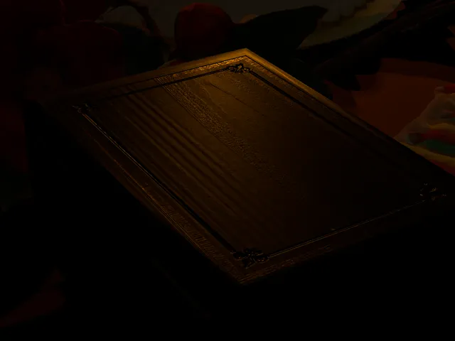 I wanted show to you something