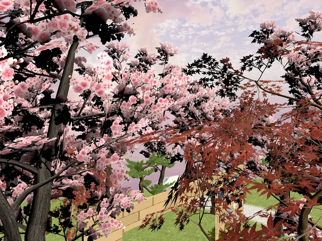 Blossom Park
