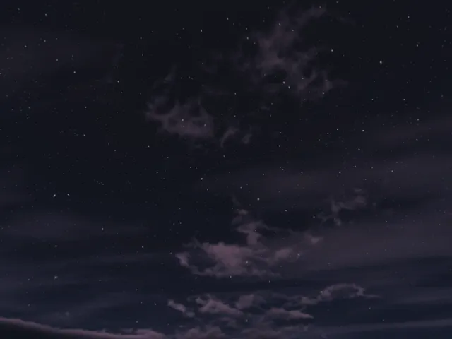 Purrworld