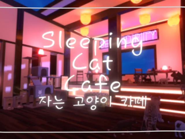 Sleeping Cat Cafe ｜ 자는 고양이 카페