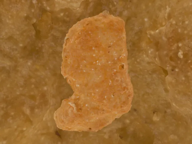 Inside Chicken McNugget