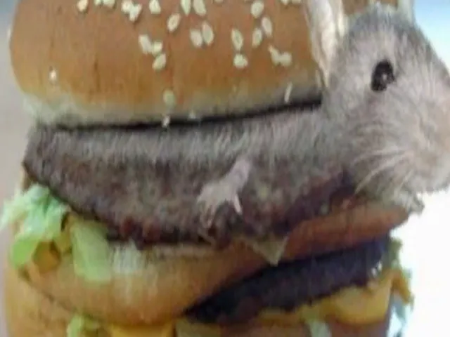 Rat world