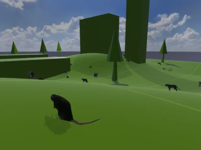 CatNPCTesting