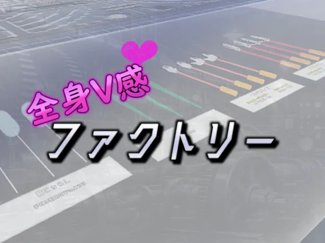 全身V感ファクトリー