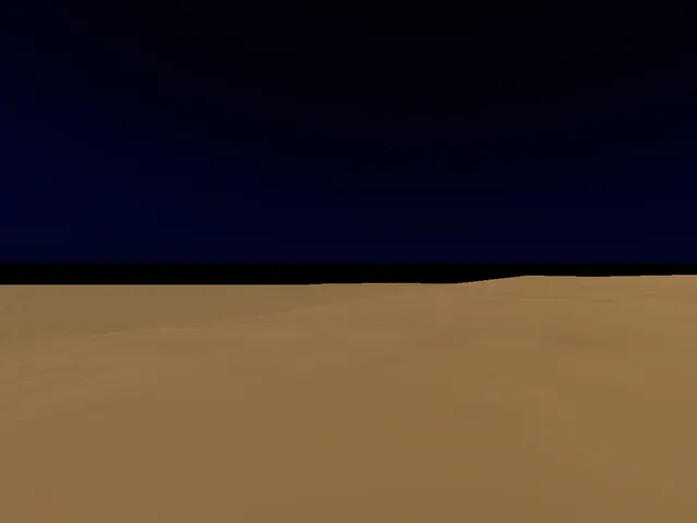 Desert Night