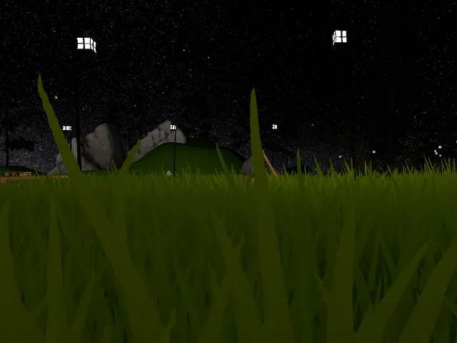 Night Time Nature Hangout