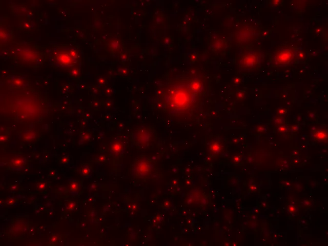 Chill World Reupload