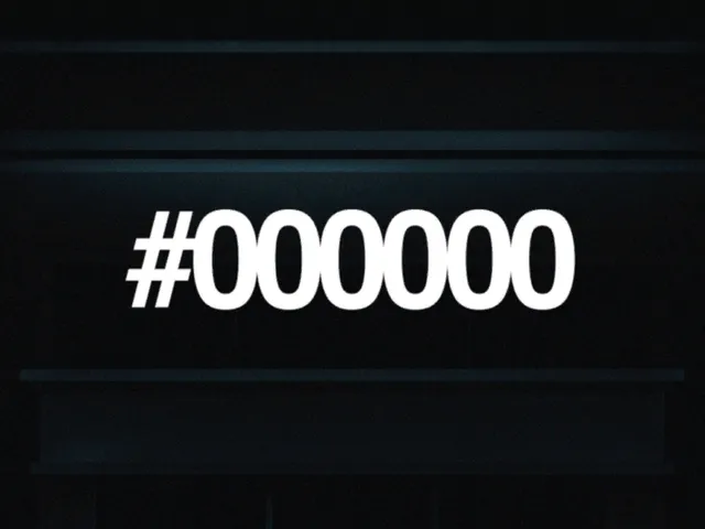 ＃000000