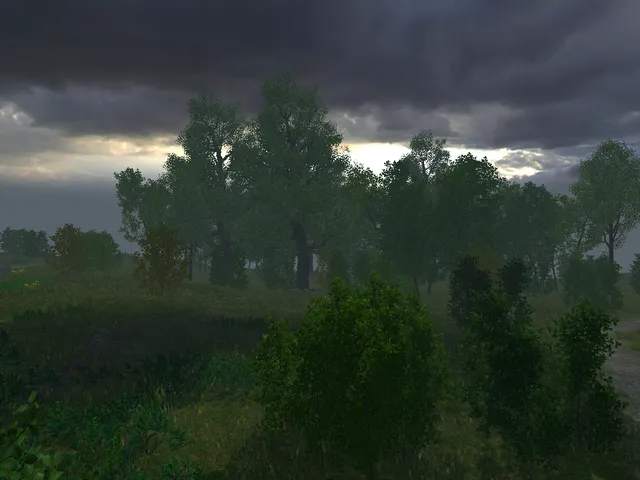 SwampForest