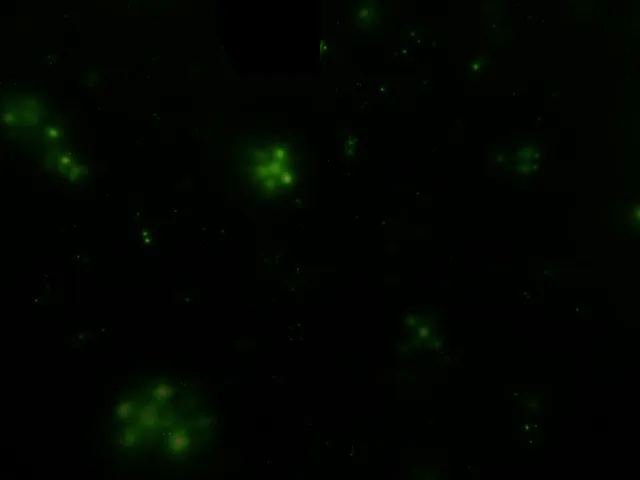 Minis Art Gallery - 2022