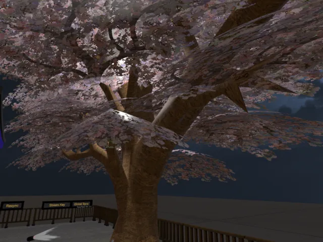 夜桜と共にアフターインスタンス