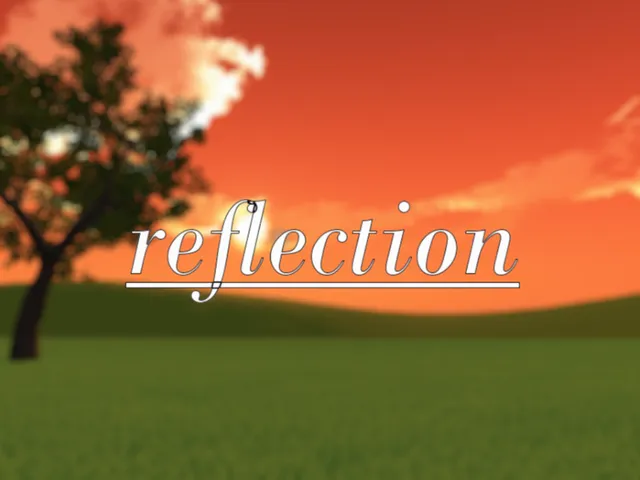 Reflection
