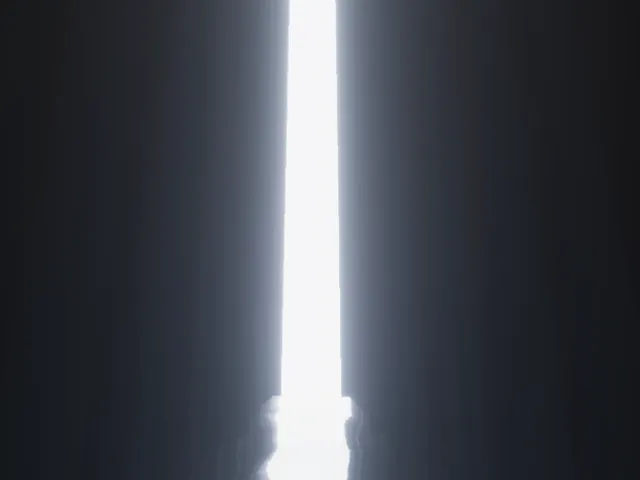 STAR TREK UNIFICATION