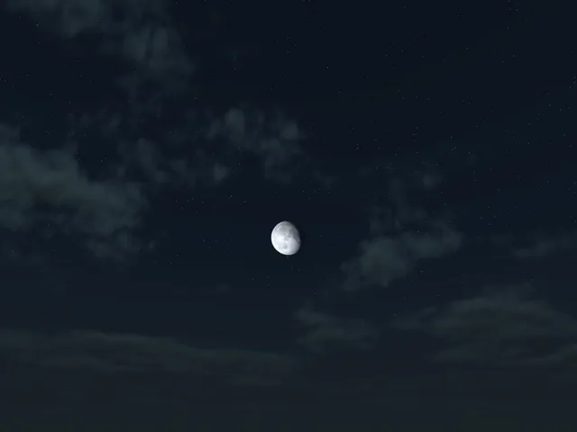 용찬이네