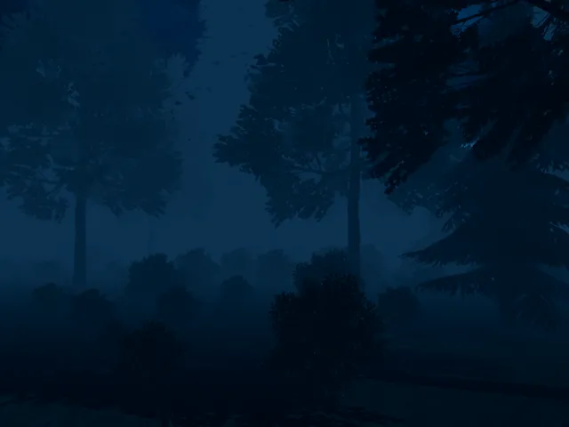 Deep Forest of Waldshagen Night time
