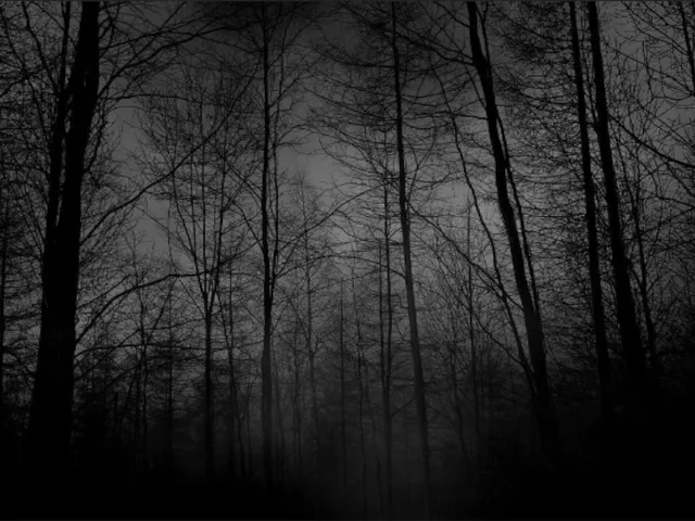 Sad Room and World Chill