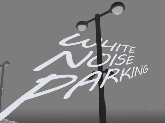 White Noise Parking
