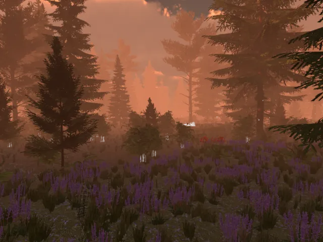 埋葬于森林深处