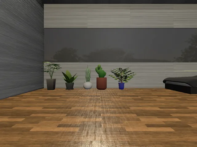 Shaon's Room