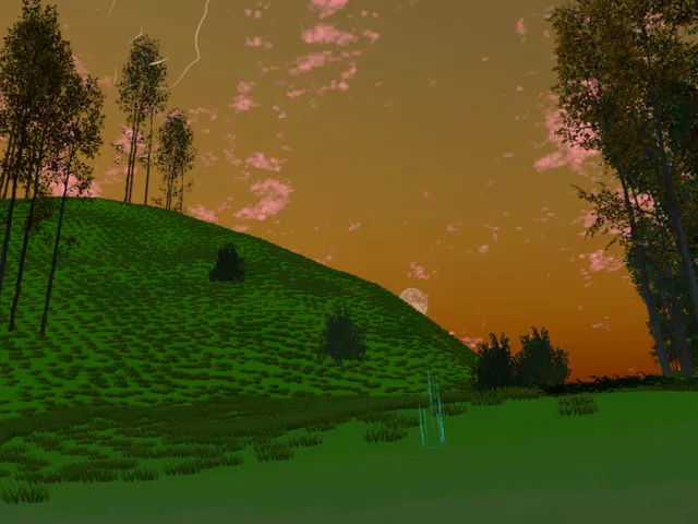 The Wooden Path （1․4）