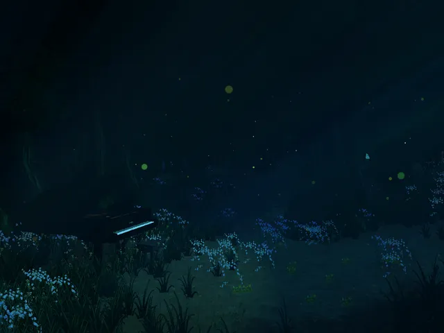 Forest of piano ˸ 피아노의 숲