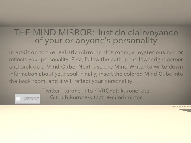 THE MIND MIRROR