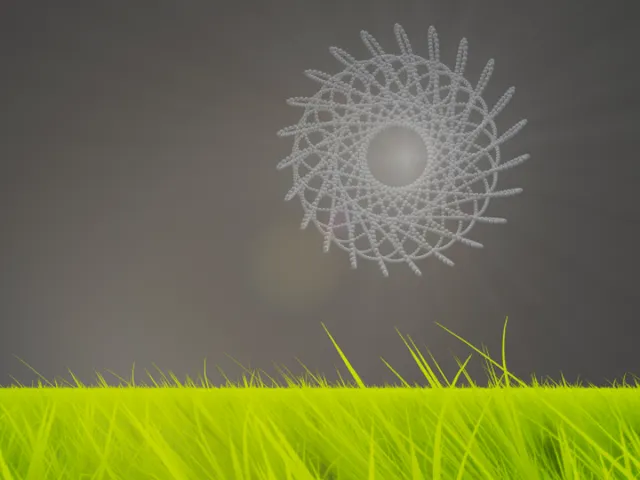 where am i ?