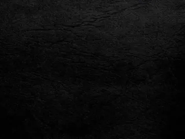 Critter Village Interior