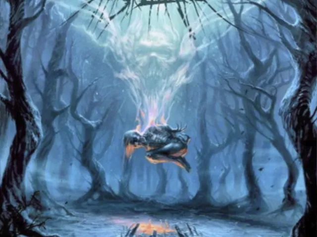 What the absolute hell man