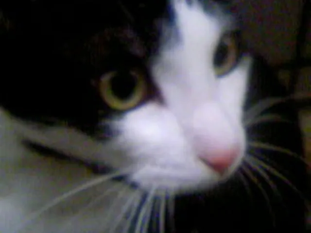 SylarAreaSoundSystemCheck